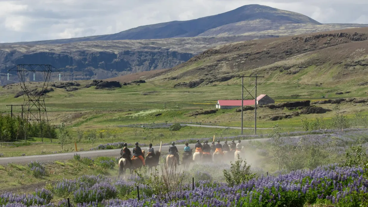 Islandia: Excursión a Caballo - Montañas y Praderas Operado por Eldhestar ehf