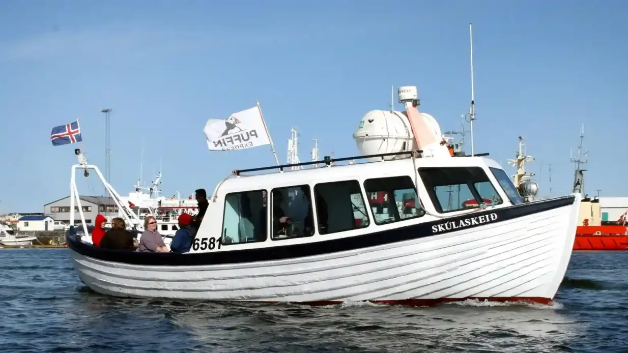 Reikiavik: Avistamiento de ballenas y excursión con frailecillos