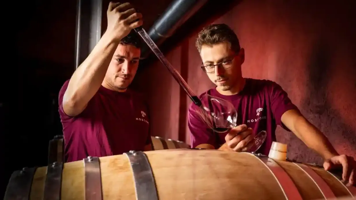Cantina Moscone: Winery Tour and Tasting Provided by ARCADIA EMME VIAGGI SRL