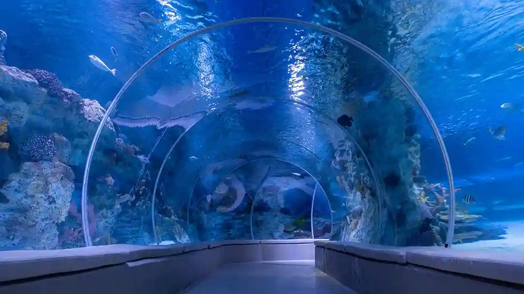Emaar Aquarium & Emaar Skyview: Combo Entry Ticket Provided by Tiqets International B.V.