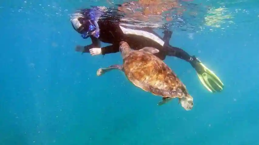 Tenerife : Excursion guidée en kayak et plongée en apnée