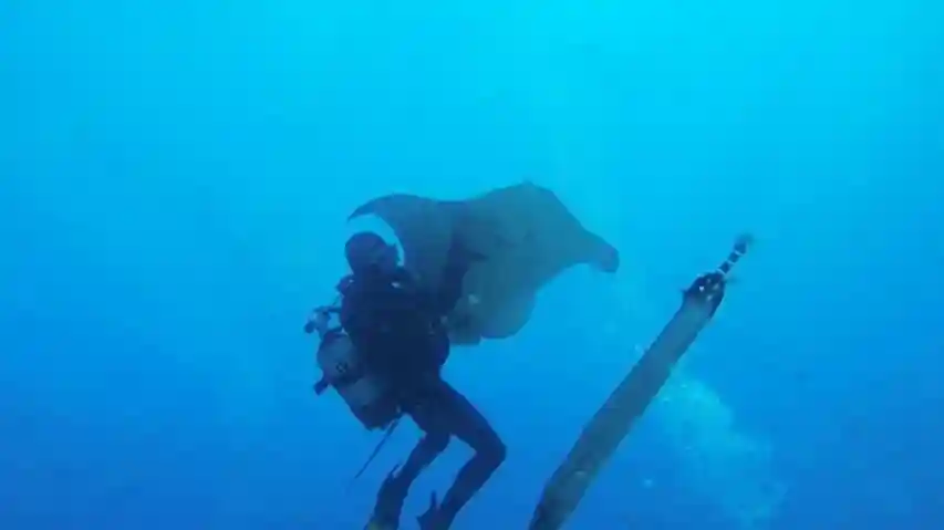 Los Cristianos: Guided Diving Class
