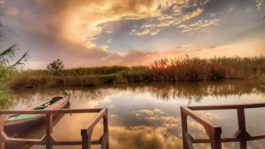 Albufera: Guided Day Tour from Valencia + Boat Ride