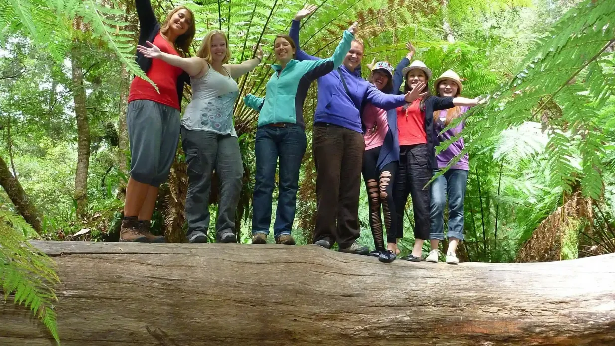 Mt. Field, Bonorong Wildlife Sanctuary et Mt. Wellington : Visite guidée Fournie par Tours Tasmania