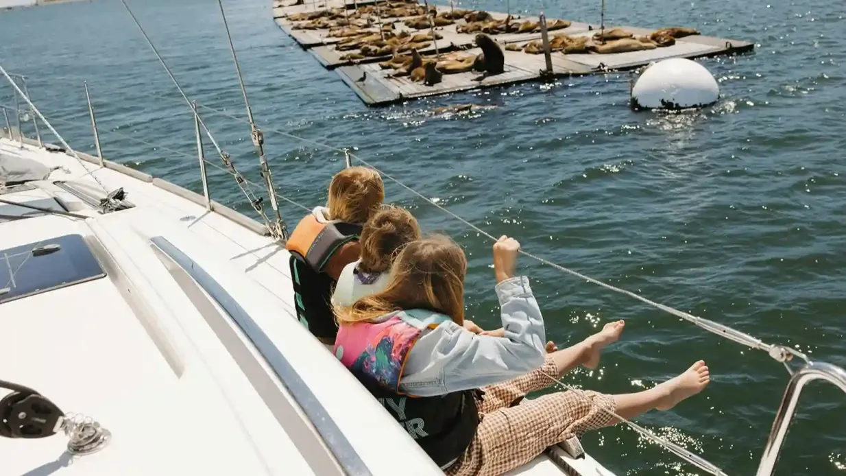 San Diego: Crociera mattutina guidata in yacht con bevande Fornito da Sail San Diego