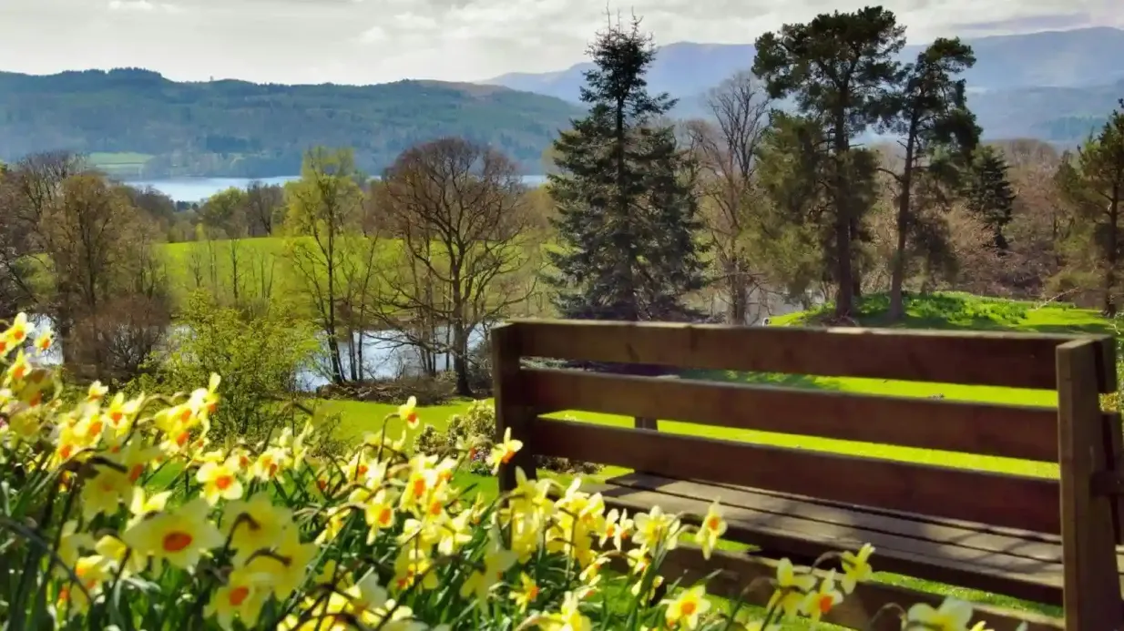 Lake District: Passeio de um dia + cruzeiro saindo de Londres com chá com creme