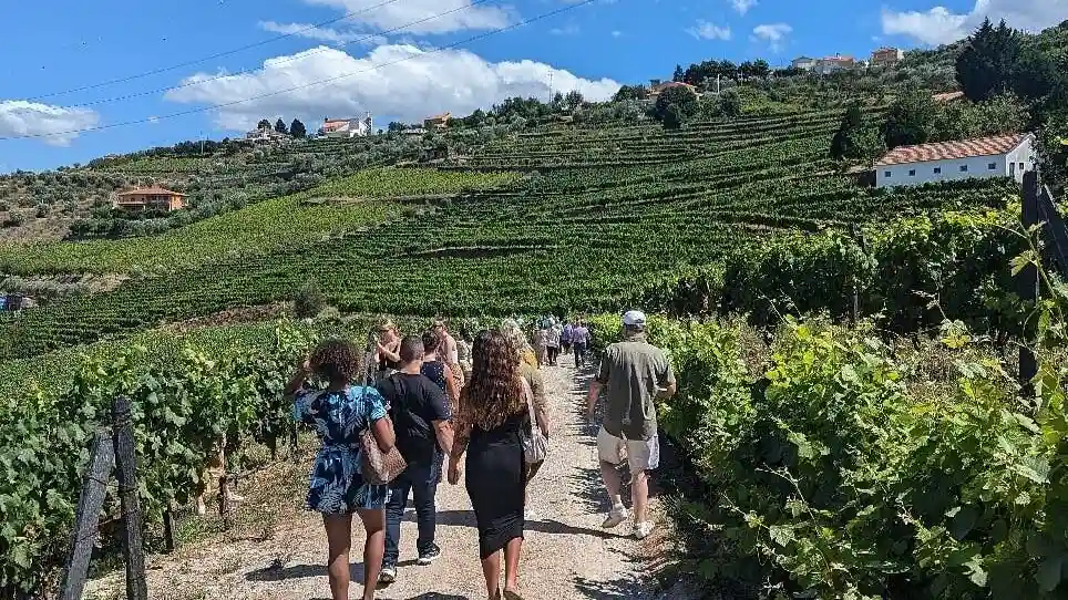 Valle del Douro: Tour del vino + pranzo da Porto Fornito da EFun Tours