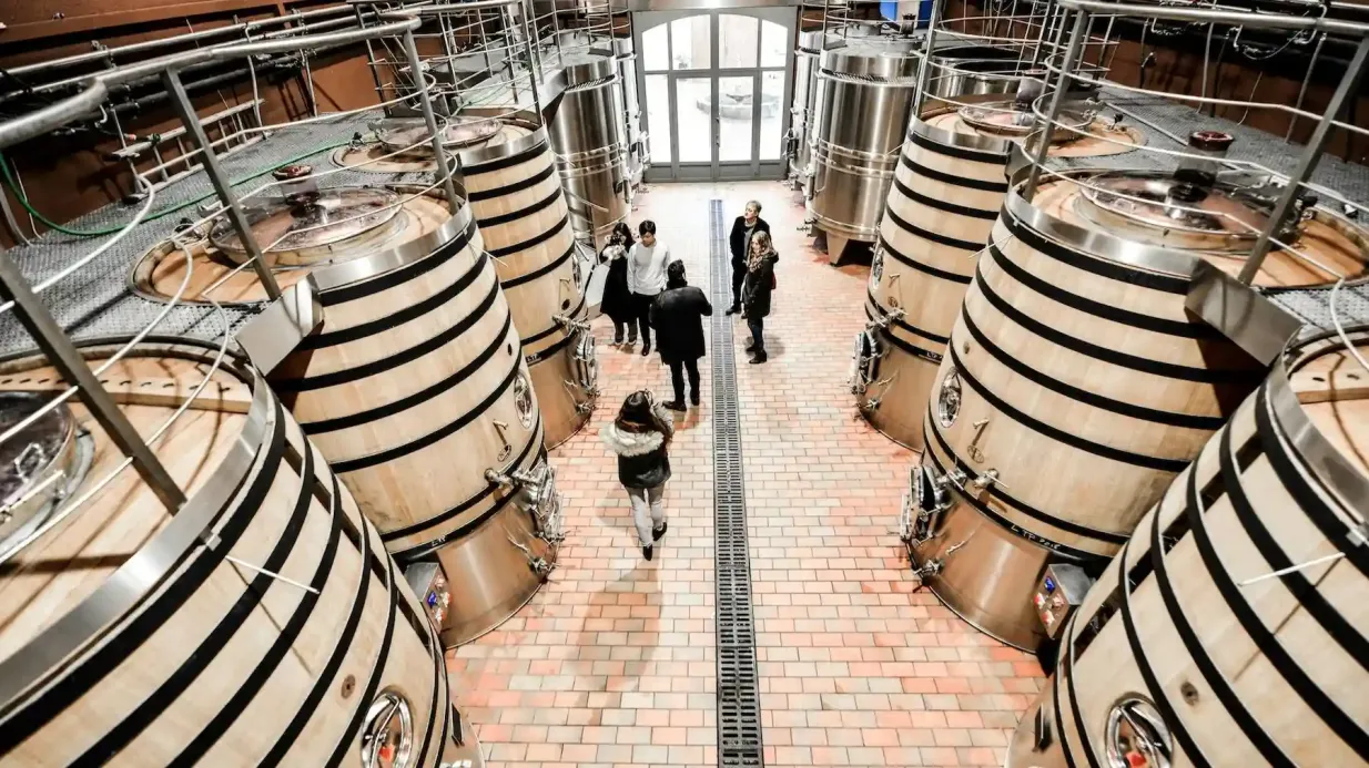 Saint-Emilion: Geführte Tour mit Weinverkostung + Mittagessen