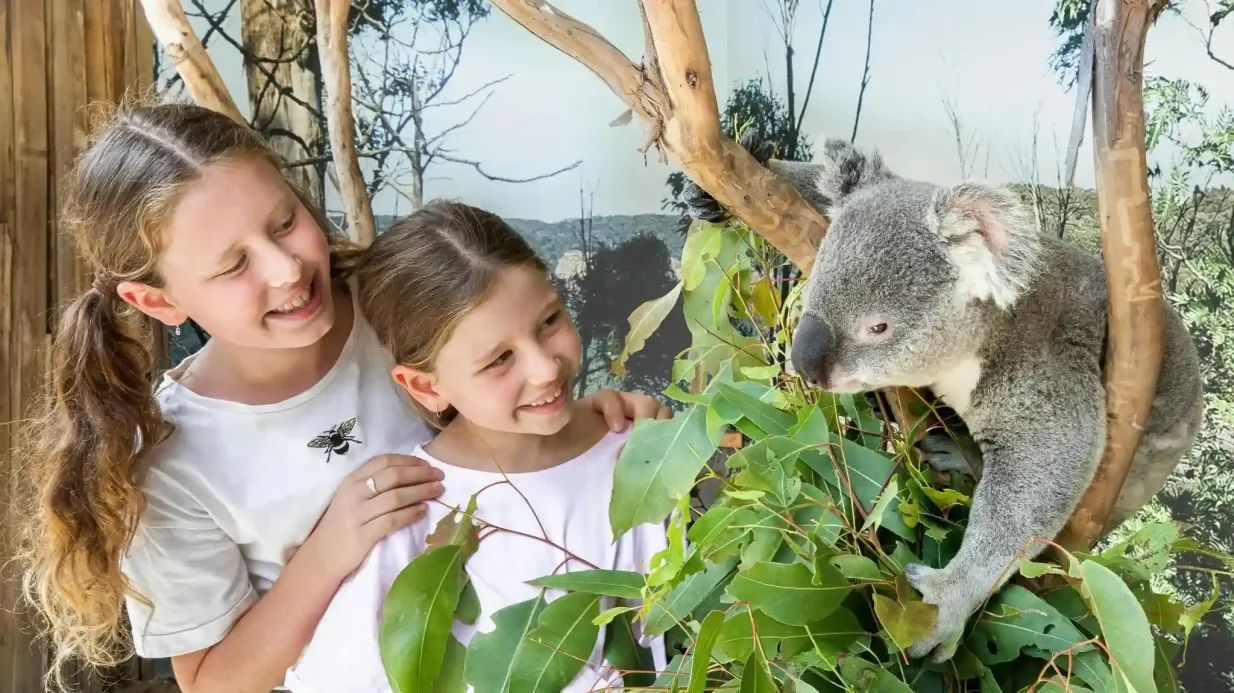 Montagnes bleues et zoo de Sydney : Excursion d'une journée au départ de Sydney Fournie par Brighton Coach