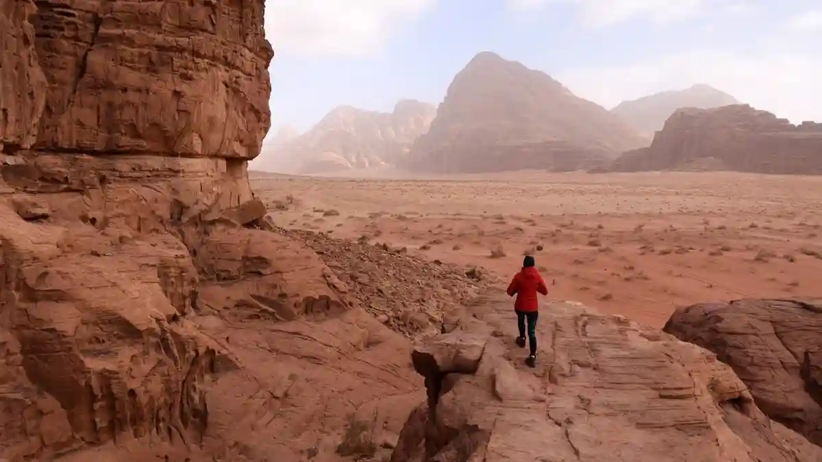 Wadi Rum: Tour Safari nel deserto + Pasto completo Fornito da WADI RUM FIRE CAMP