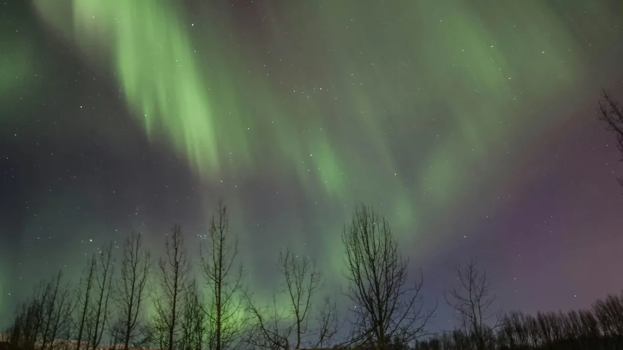 Akureyri: Excursión en grupo reducido por la Aurora Boreal