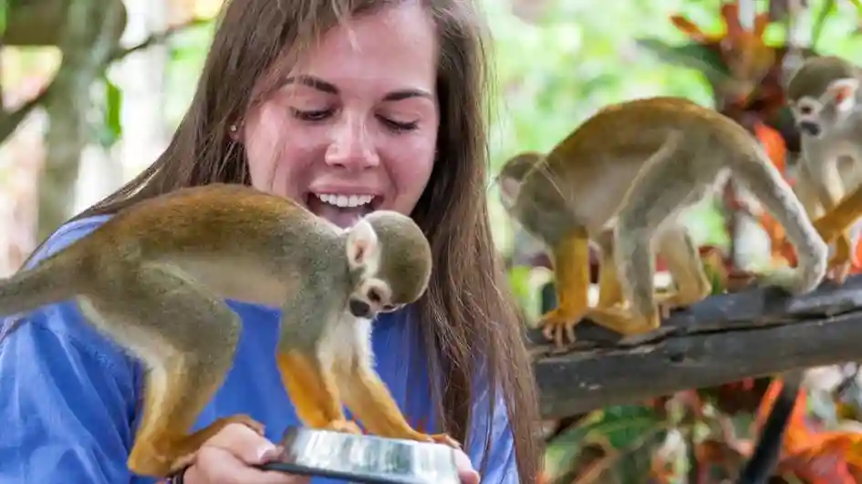 Monkeyland and Plantation: Guided Tour + Tasting + Roundtrip Transfer Provided by Runners Adventures