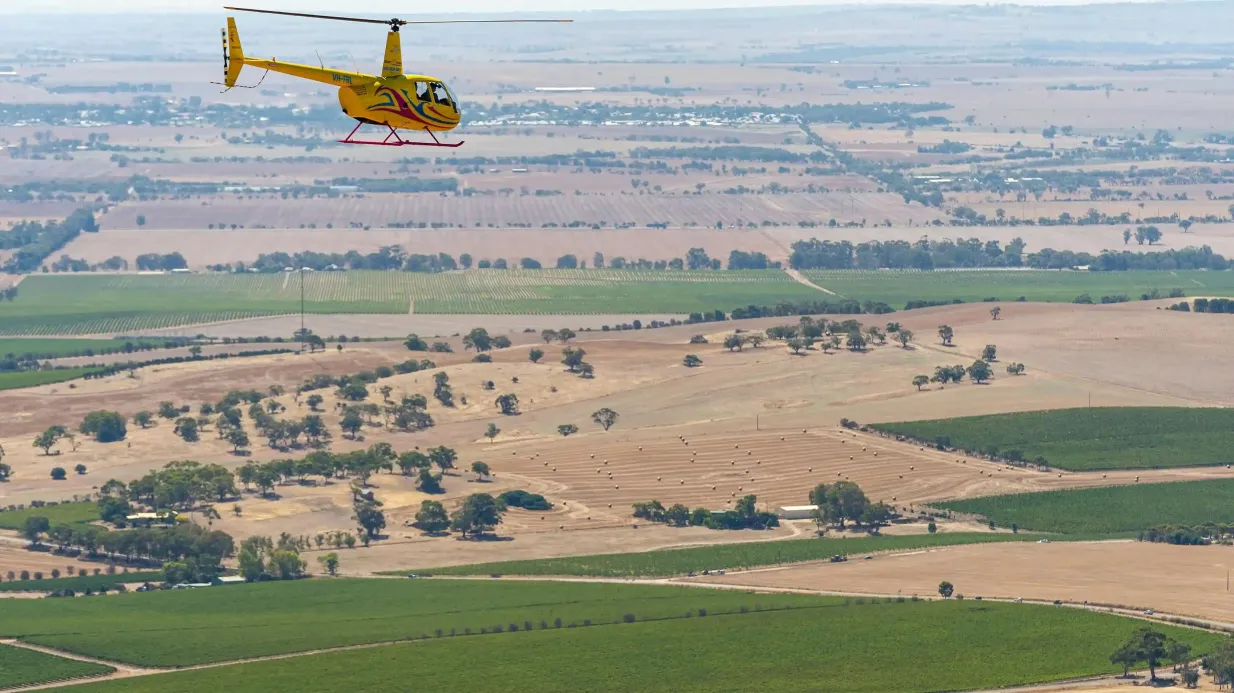 Barossa Valley : vol privé en hélicoptère de 30 minutes Fournie par Barossa Helicopters