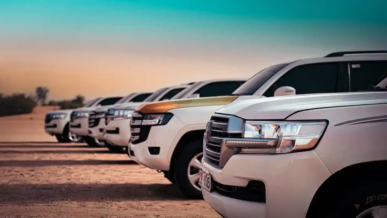 Abu Dhabi: Passeio noturno de safári no deserto + jantar