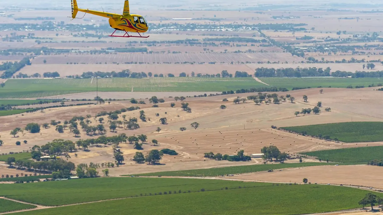 Crête occidentale et fond de la vallée : vol de 20 minutes en hélicoptère Fournie par Barossa Helicopters