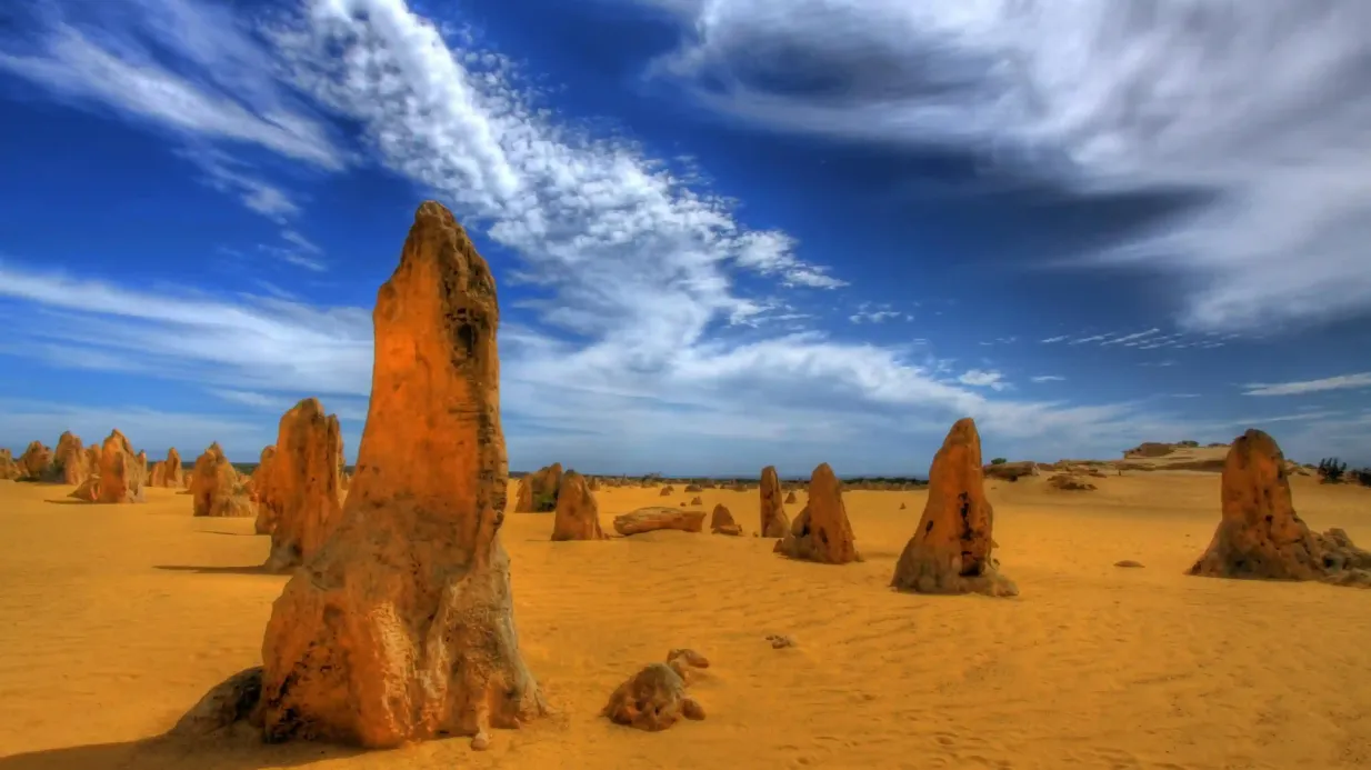 Le désert des Pinnacles et le parc animalier de Caversham : Visite + Sand Boarding + Aventure en 4x4 Fournie par Australian Pinnacle Tours