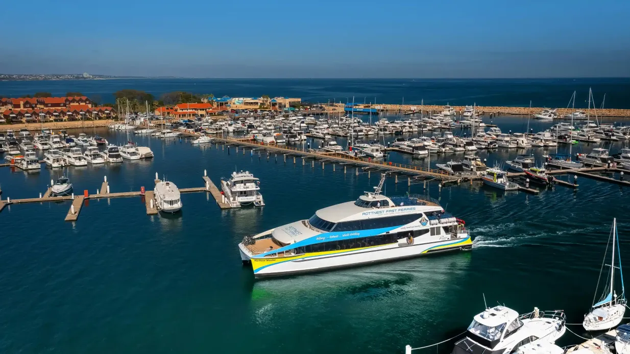 Île Rottnest : Transfert aller-retour en ferry + location de vélo Fournie par Australian Pinnacle Tours