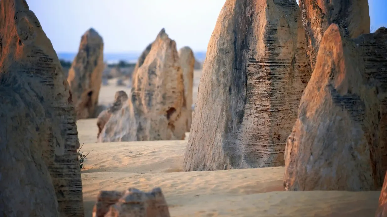 Deserto de Pinnacles, Yanchep e Swan Valley: Excursão de um dia saindo de Perth + almoço Organizado por Australian Pinnacle Tours