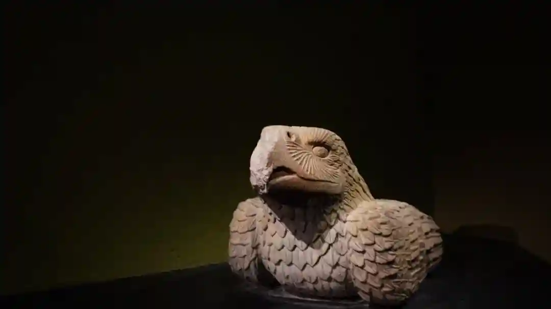 Musée du Templo Mayor : Billet d'entrée + Visite guidée Fournie par CHILLNGOS SAS