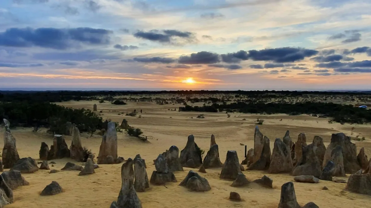 Désert des Pinnacles : Visite guidée d'observation des étoiles + transfert aller-retour Fournie par Australian Pinnacle Tours