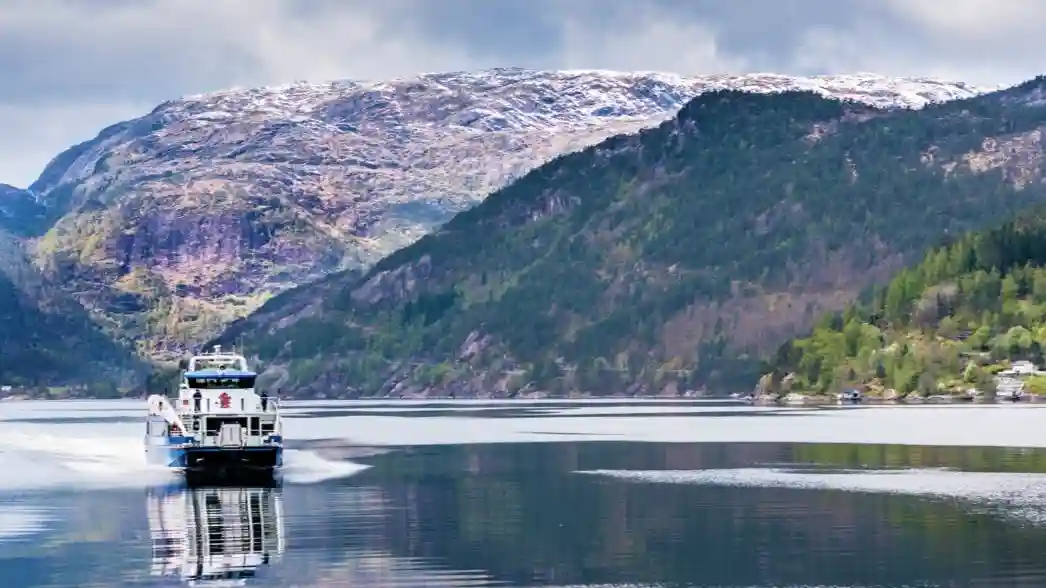 Excursion d'une journée à Bergen : croisière dans le fjord, visite de la ville historique et funiculaire de Fløien Fournie par www.travenor.eu