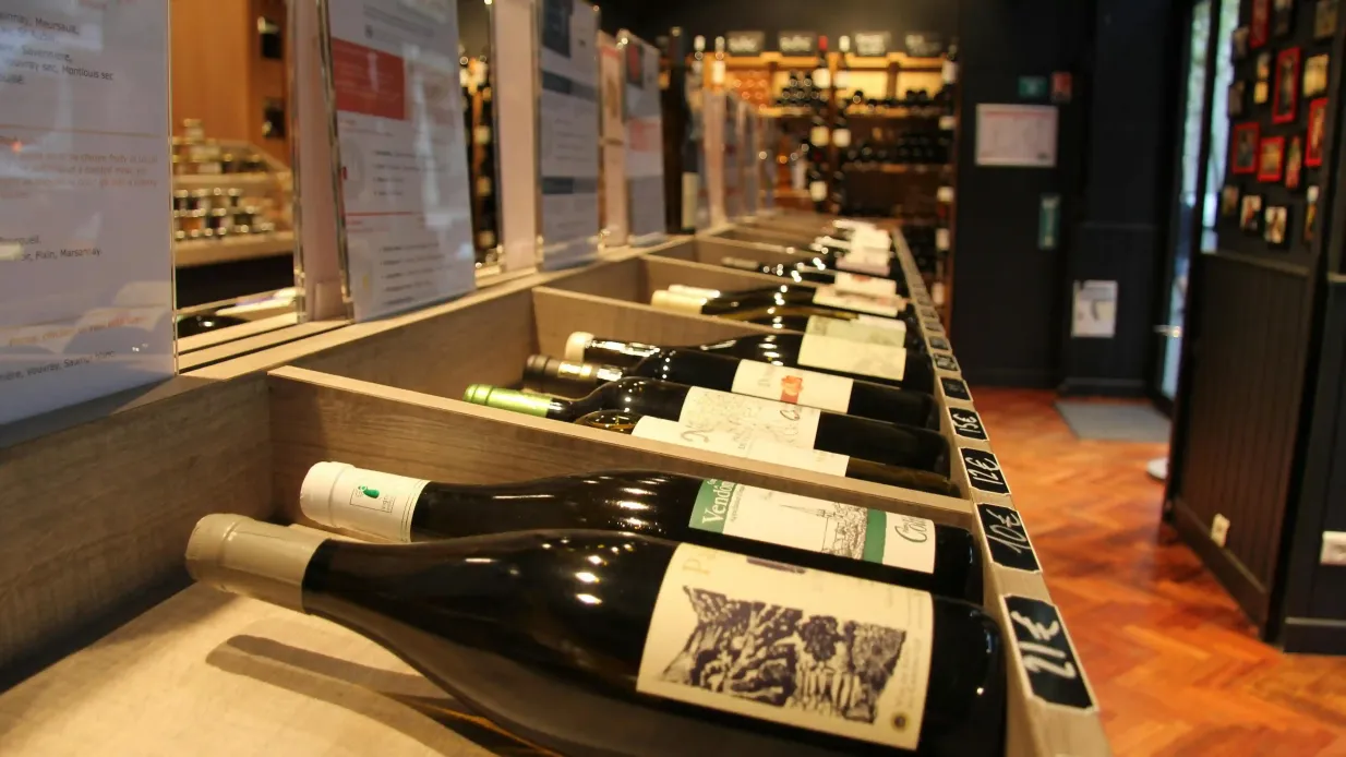Degustação de vinhos e queijos em Saint-Germain