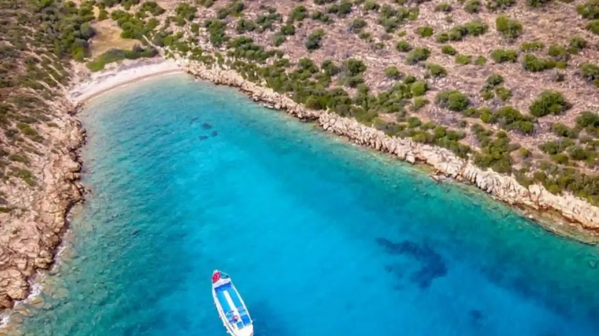 Bodrum: Orak Island Boat Trip Provided by Morning Tour Travel Services