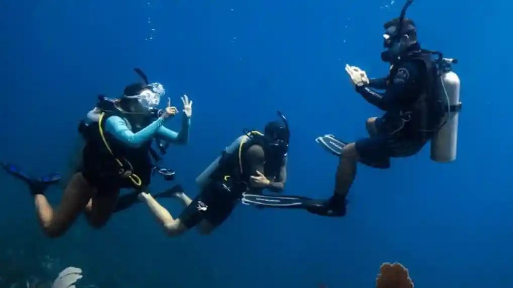 Dubai: Curso PADI Open Water com eLearning
