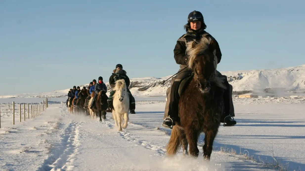 Islandia: Montar a Caballo - Excursión a Siggi Operado por Eldhestar ehf