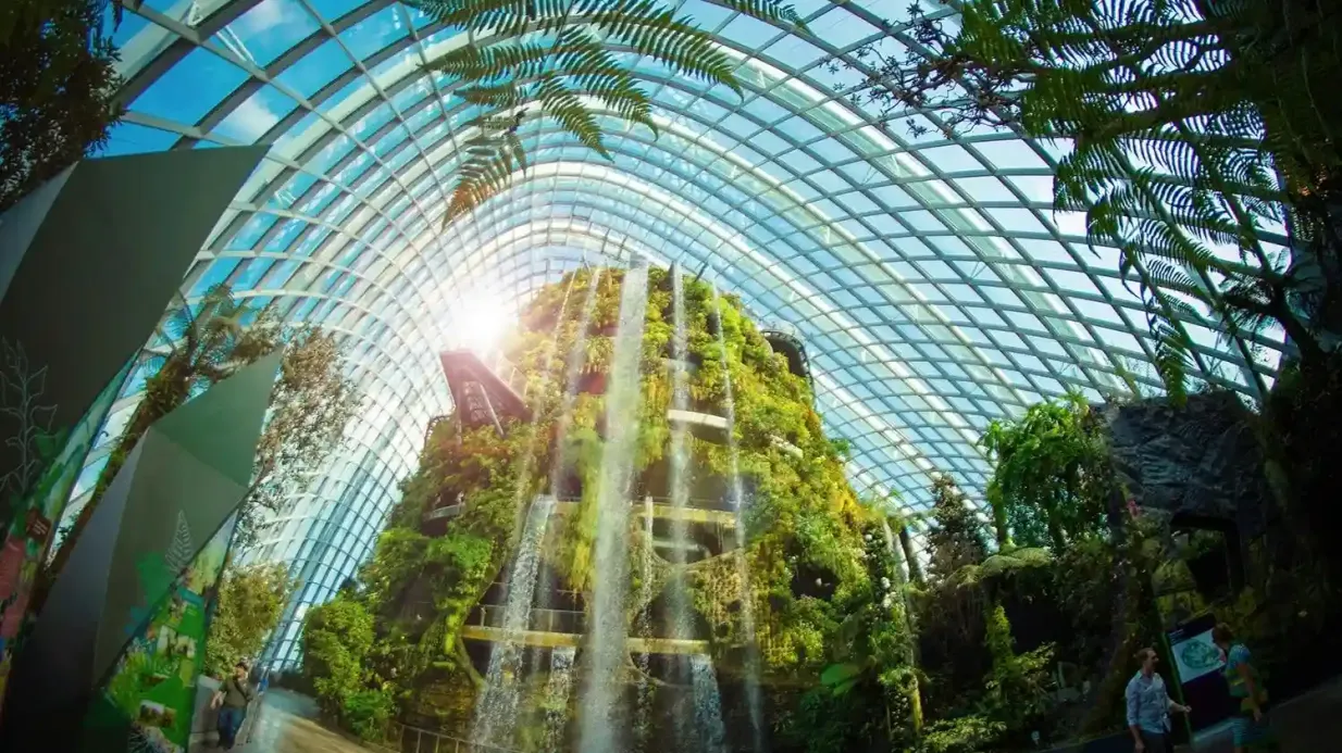 Gardens by the Bay: Guided Tour Provided by Tribe Tours