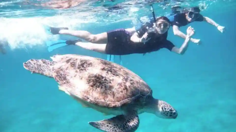 Playa de Abu Dabbab Operado por marsa waves