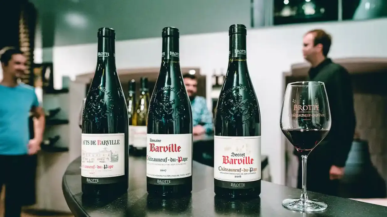 Brotte Wine Museum: Entry + Tasting Provided by BROTTE SAS