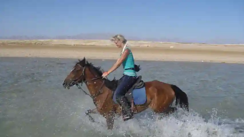 Marsa Alam: Aventura a caballo por el desierto y el mar Operado por marsa waves