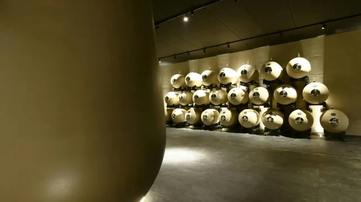 Verona: Vapolicella Vineyard Tour + Wine Tasting with Lunch Provided by IHE TOUR OPERATOR S.R.L.