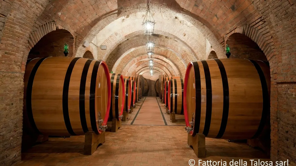 Montepulciano: Geführte Tour durch die Weinberge + Weinverkostung Bereitgestellt von IHE TOUR OPERATOR S.R.L.
