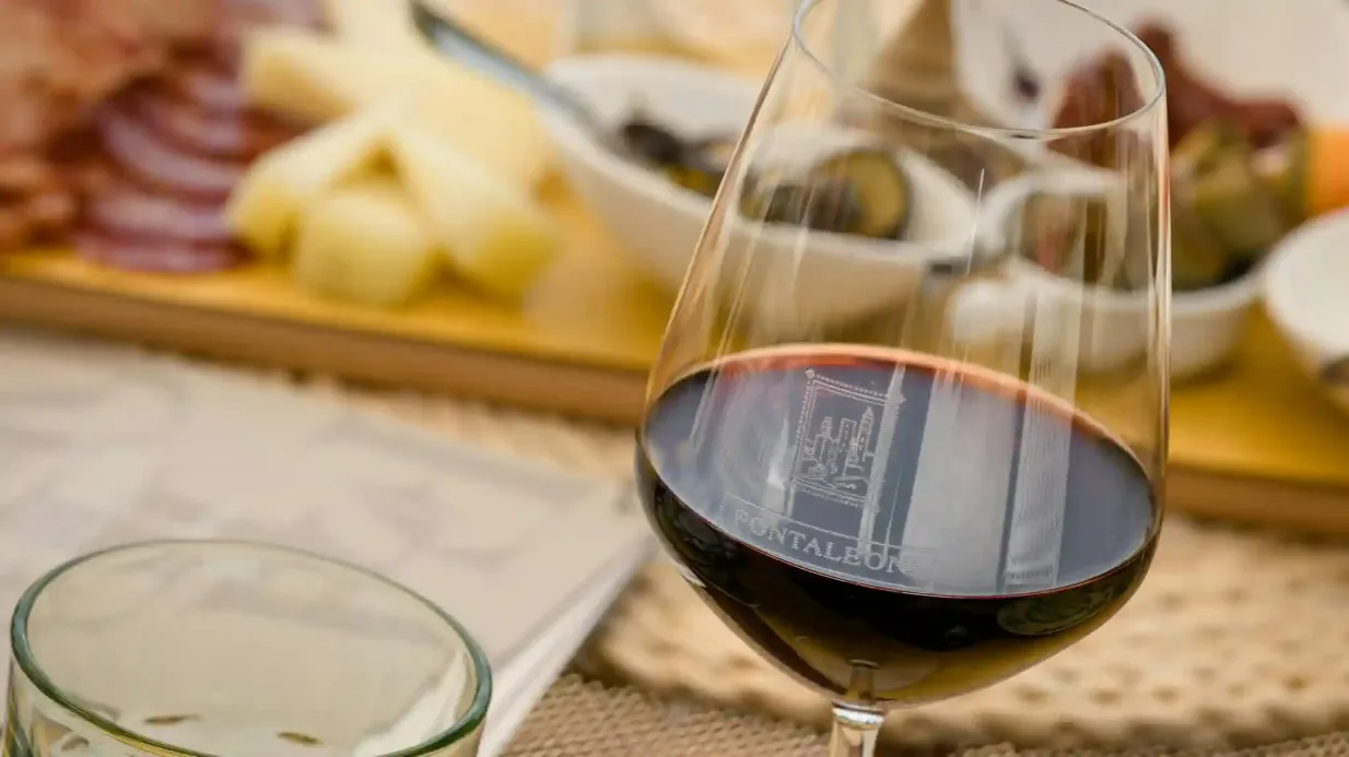 San Gimignano: Visita guidata ai vigneti + degustazione di vini + pranzo