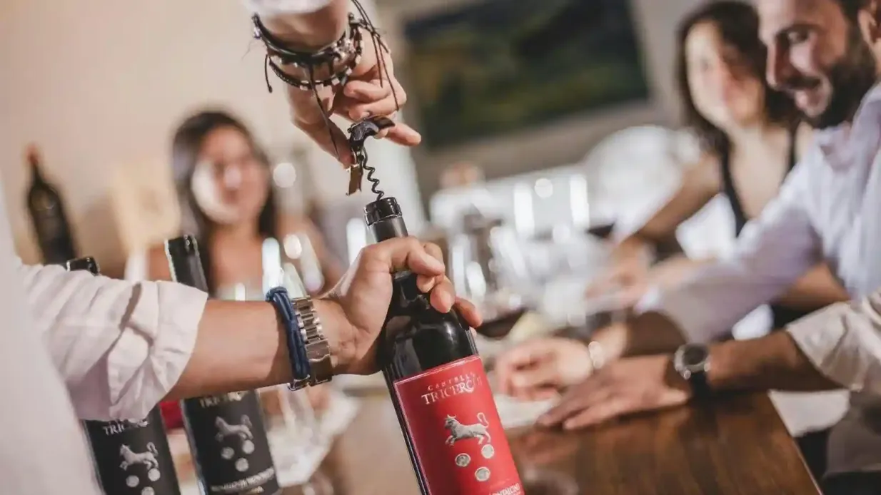 Montalcino: Tour durch die Weinberge + Weinverkostung Bereitgestellt von IHE TOUR OPERATOR S.R.L.