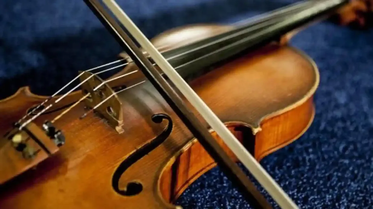Venise : Concert classique par I Musici Veneziani + dîner Fournie par Park Viaggi srl