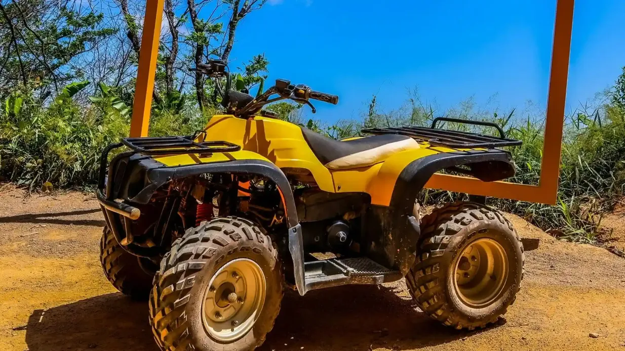Pa Tong: Giro in ATV + Tour del Grande Buddha Fornito da VIBESCATION