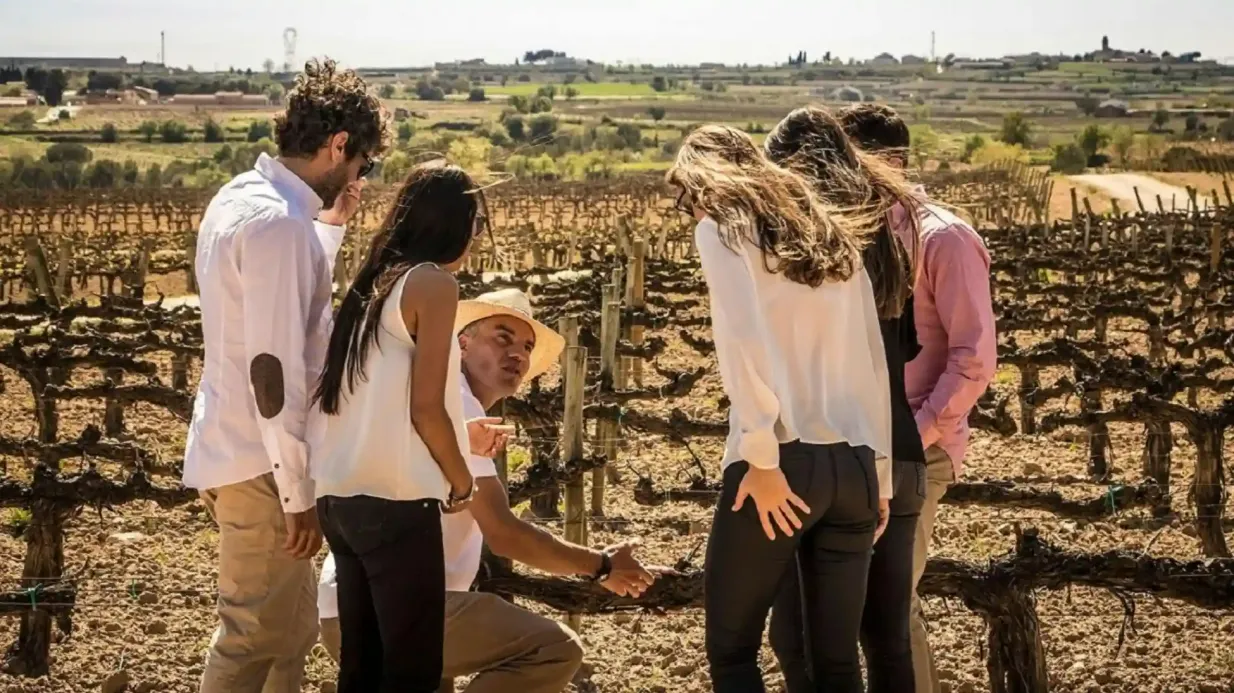 Barcelona: Experiência de navegação para pequenos grupos + visita e degustação de vinhos Organizado por BDA Sailing experience