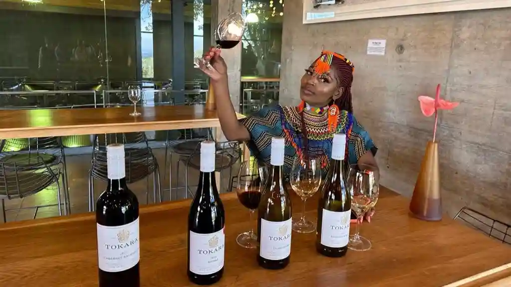 Stellenbosch e Franschhoek: Degustação de vinhos + traslado de ida e volta da Cidade do Cabo