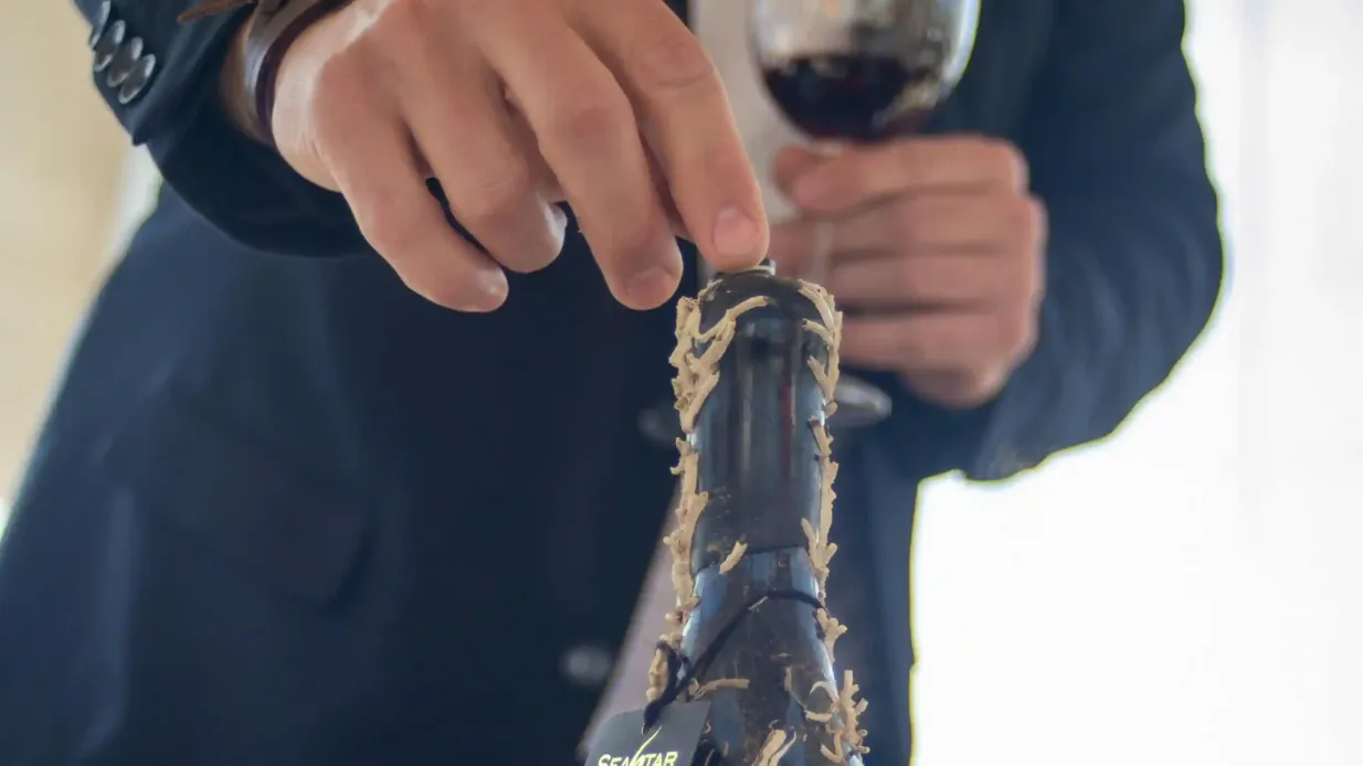 Barcelona: Experiencia de 2 horas en velero + Cata de vinos bajo el agua Operado por Sailing Tours Barcelona SL