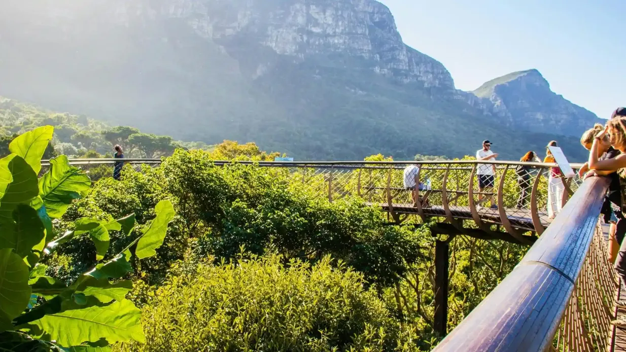 Constantia: Passeio de dia inteiro pelo vinho + traslado de ida e volta