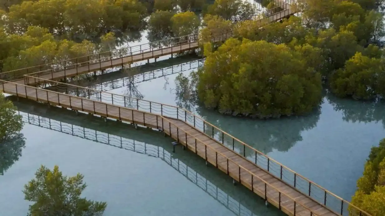 Jubail Mangrove Park: Boardwalk Experience Tour