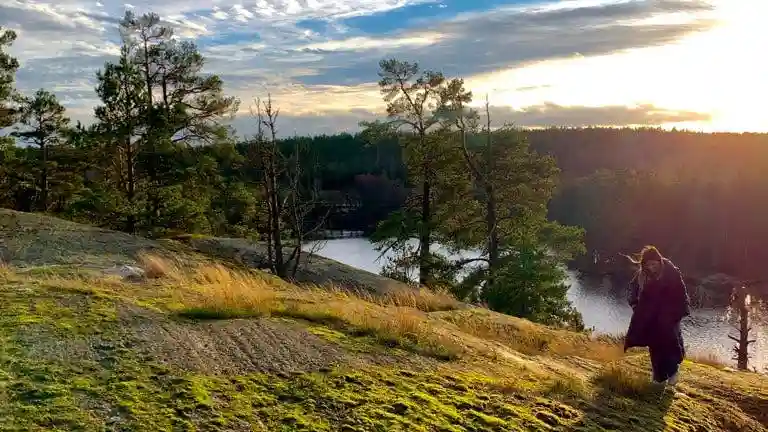 Stockholm: Tour durch das Naturreservat + Mittagessen am Lagerfeuer + Hin- und Rücktransport
