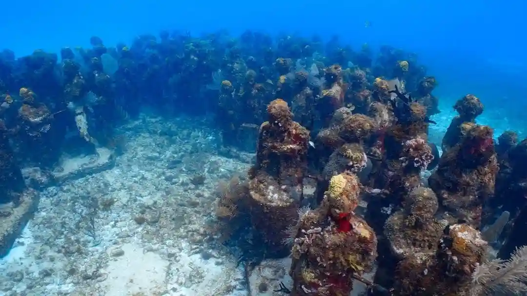 Musée d'art subaquatique de Cancún et récif corallien de Manchones : Excursion avec masque et tuba Fournie par AMAZON TOURS SA DE CV