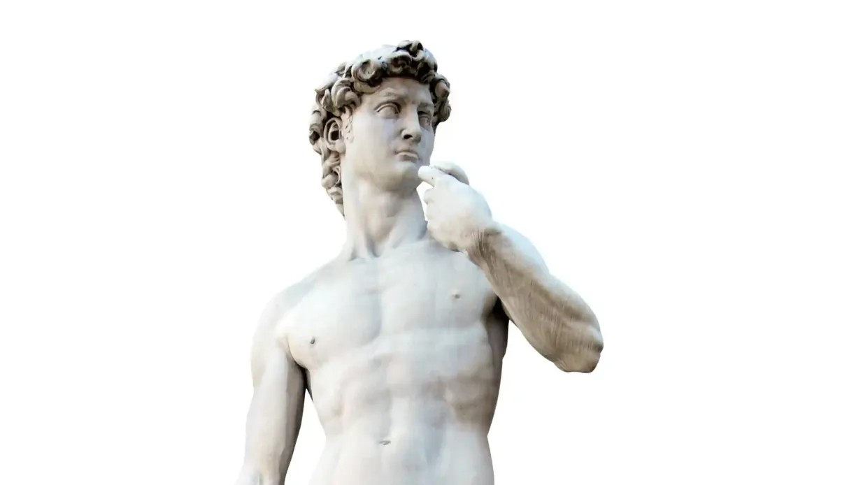 Accademia Gallery: Guided Tour Provided by Cavour 191 srls