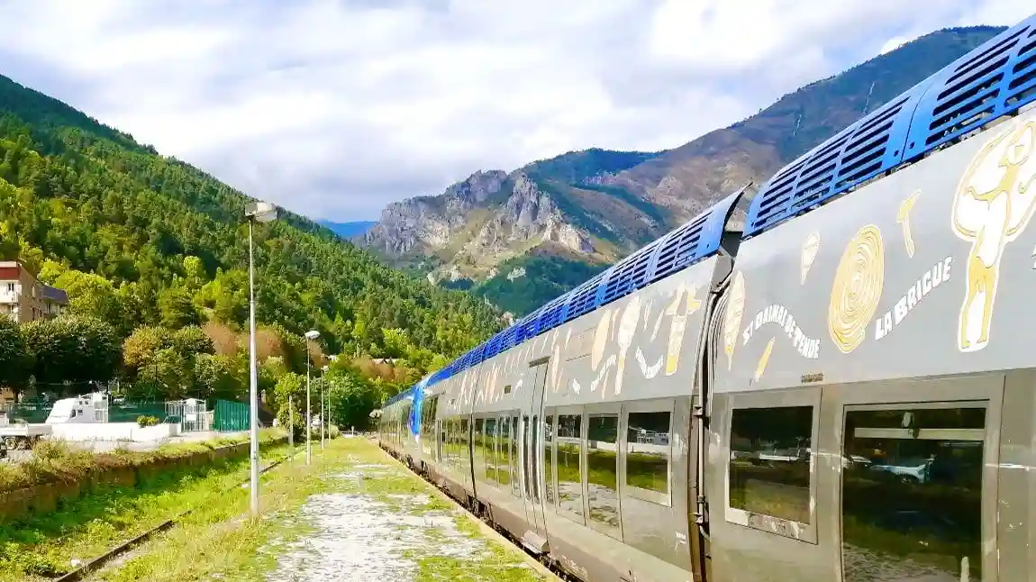 Alpes et Route Baroque : Excursion d'une journée en train depuis Nice