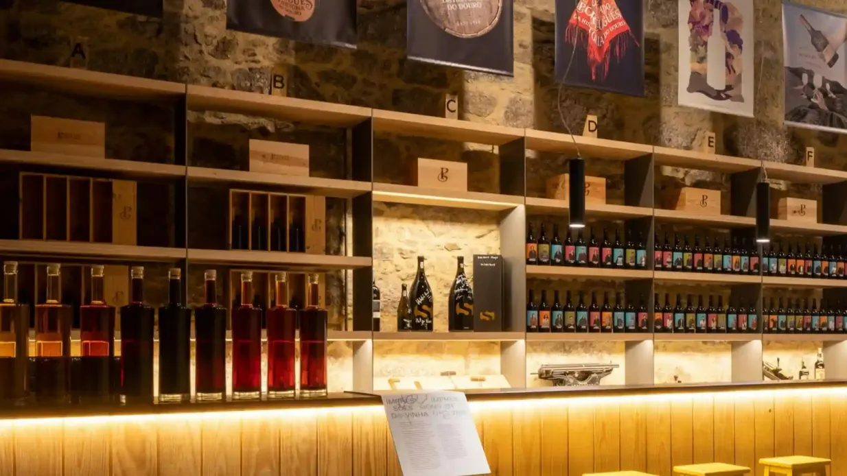 Caves Poças: Tour guidato + Degustazione di vino Porto con Pastel de Nata Fornito da MANOEL D. POÇAS JUNIOR – VINHOS, S.A.