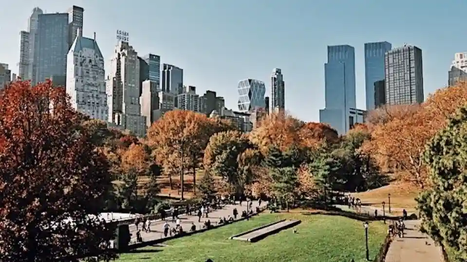 El Museo Metropolitano de Arte y Central Park: Entrada sin colas + Visita guiada